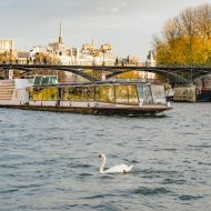 boat trip seine dinner cruise